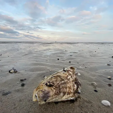 Im Haus Nordland Nordland, App95 *